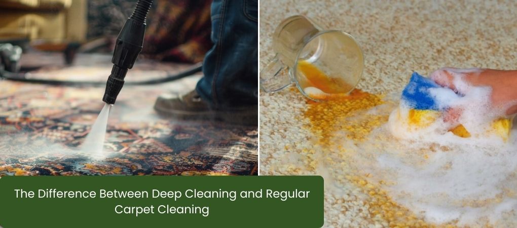The Difference Between Deep Cleaning and Regular Carpet Cleaning