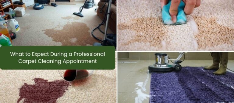 What to Expect During a Professional Carpet Cleaning Appointment