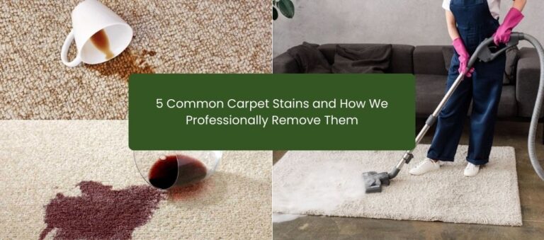 5 Common Carpet Stains and How We Professionally Remove Them