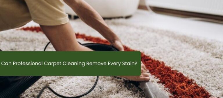 Can Professional Carpet Cleaning Remove Every Stain?