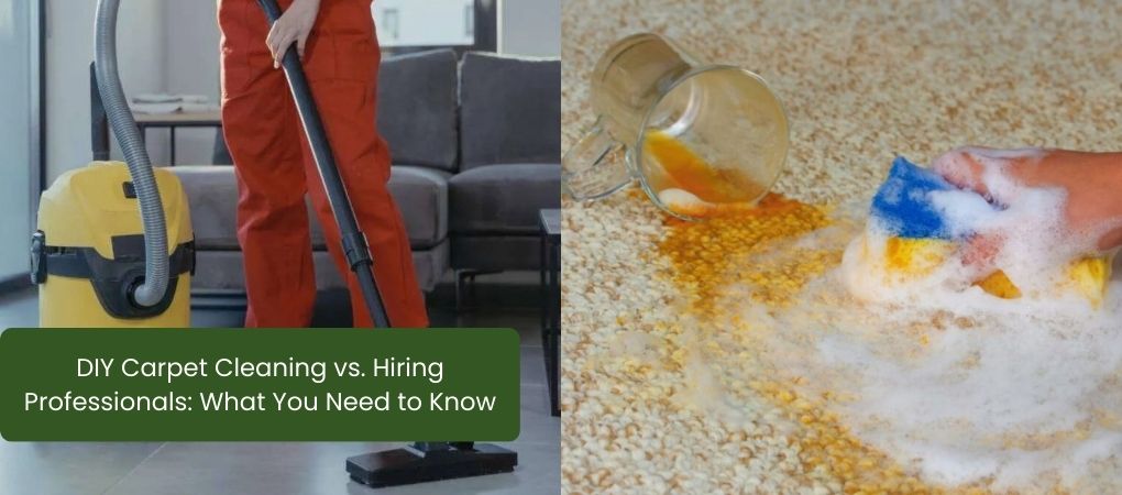 DIY Carpet Cleaning vs. Hiring Professionals: What You Need to Know