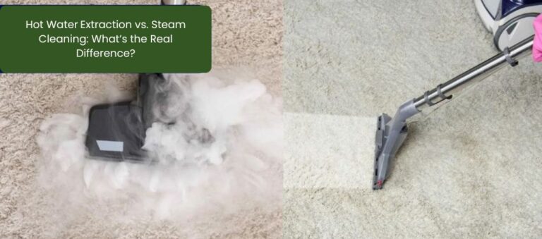 Hot Water Extraction vs. Steam Cleaning: What’s the Real Difference?