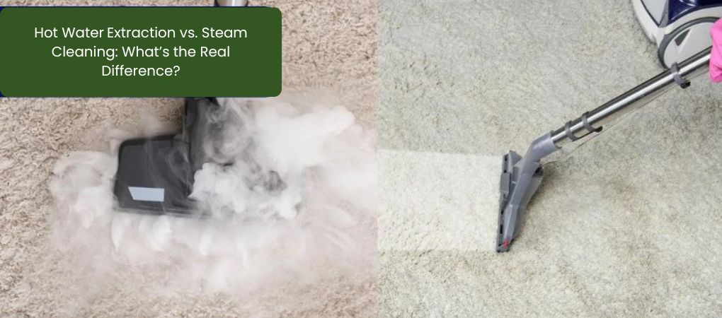 Hot Water Extraction vs. Steam Cleaning: What’s the Real Difference?