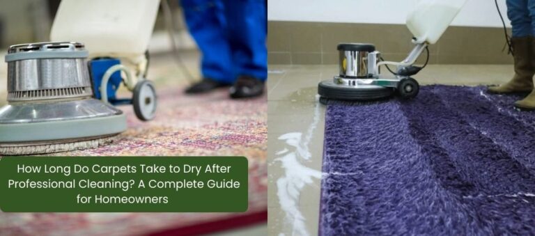 How Long Do Carpets Take to Dry After Professional Cleaning? A Complete Guide for Homeowners