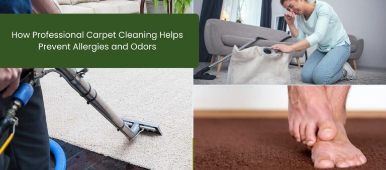 How Professional Carpet Cleaning Helps Prevent Allergies and Odors