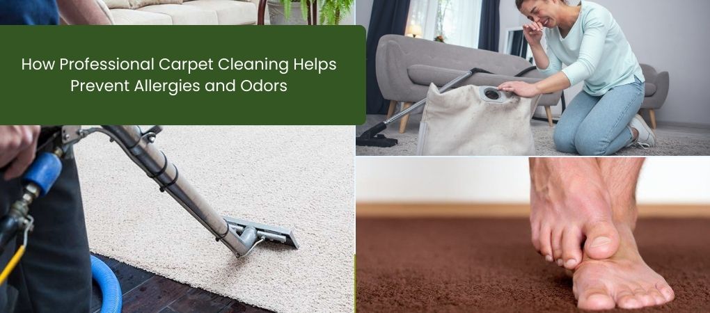 How Professional Carpet Cleaning Helps Prevent Allergies and Odors