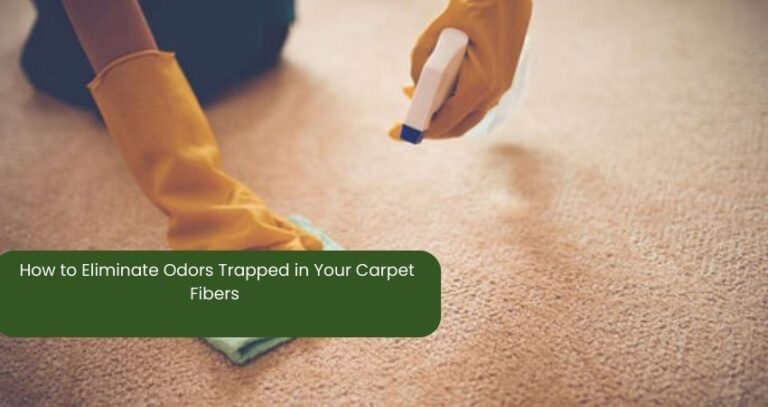 How to Eliminate Odors Trapped in Your Carpet Fibers