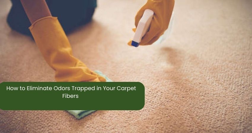 How to Eliminate Odors Trapped in Your Carpet Fibers