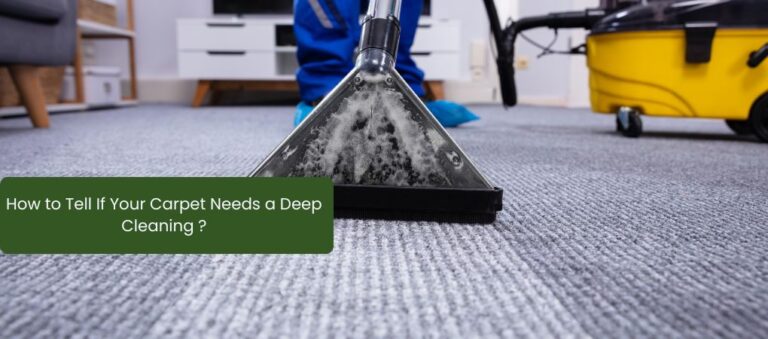 How to Tell If Your Carpet Needs a Deep Cleaning?