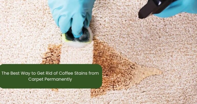 The Best Way to Get Rid of Coffee Stains from Carpet Permanently