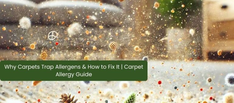 Why Carpets Trap Allergens & How to Fix It | Carpet Allergy Guide