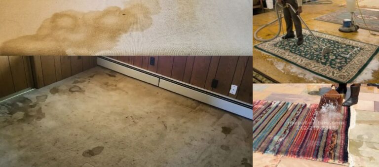 Can Dirty Rugs Affect Your Family’s Health?