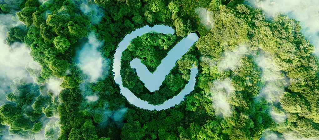 Eco-Friendly Cleaning Practices for Busy Homes