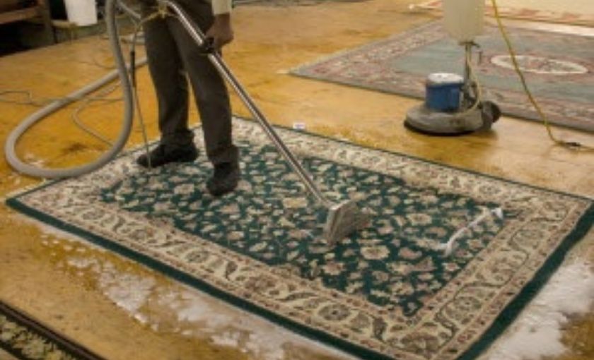 Common Dirt, Allergens, and Bacteria Found in Area Rugs