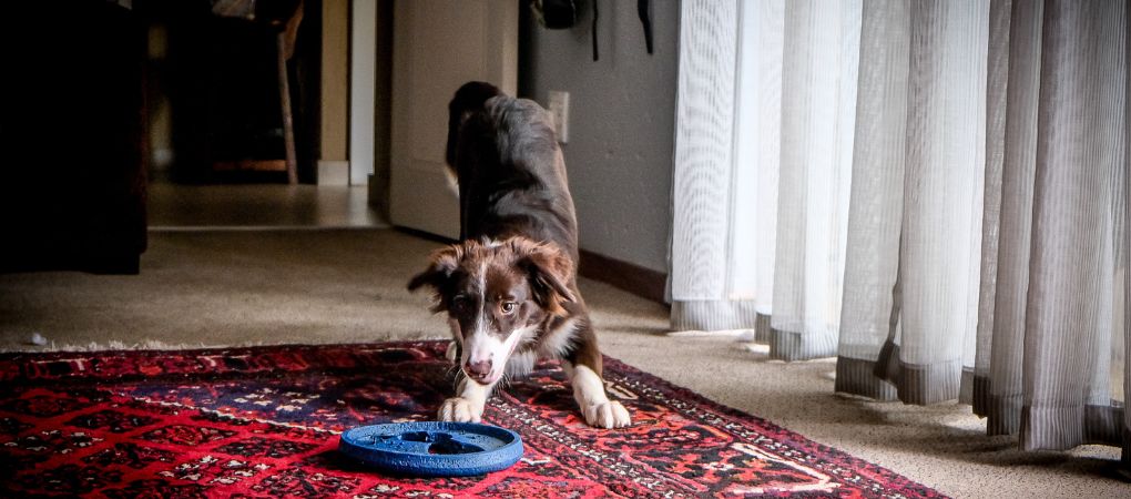 Do Area Rugs Affect Indoor Air Quality