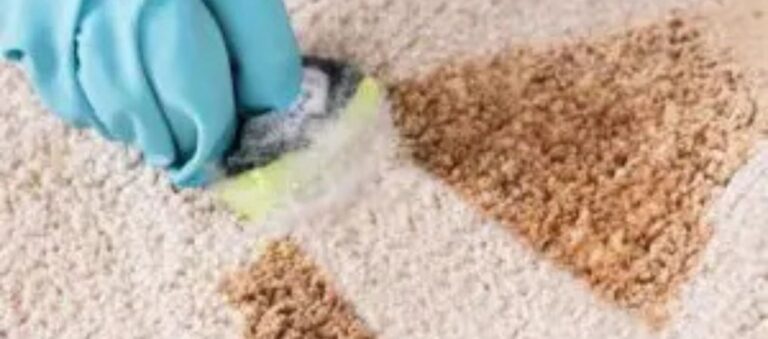How to Prepare Your Home for a Professional Carpet Cleaning Appointment