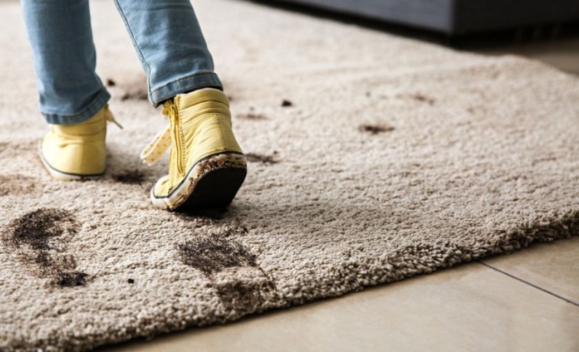 The Hidden Health Risks of Dirty Area Rugs