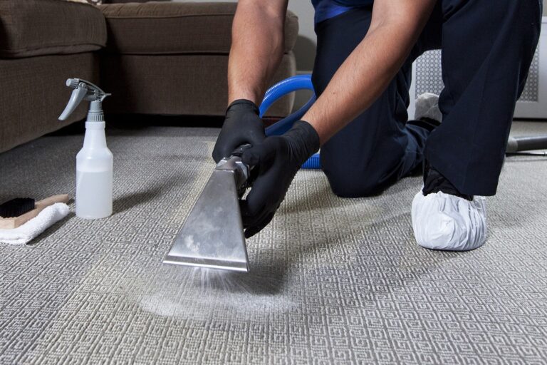Professional Carpet Cleaning Services for Homes