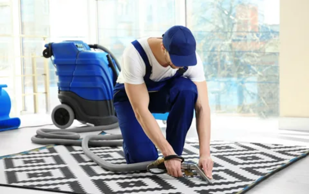 Professional Carpet Cleaning for Fresh Homes