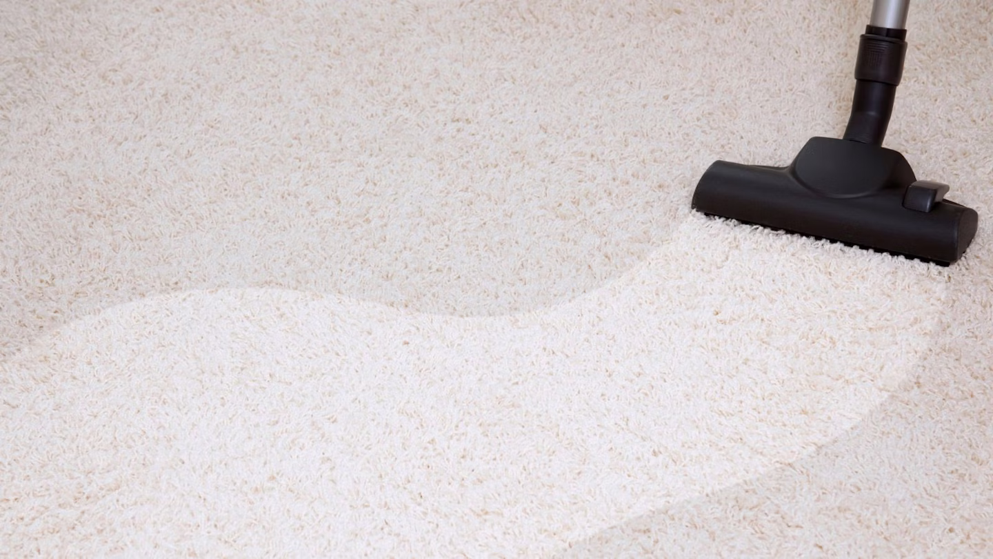 Best Carpet Cleaning Solution for Sparkling Floors
